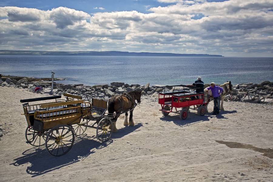 Horse and Cart Tour on Inisheer Aran Islands